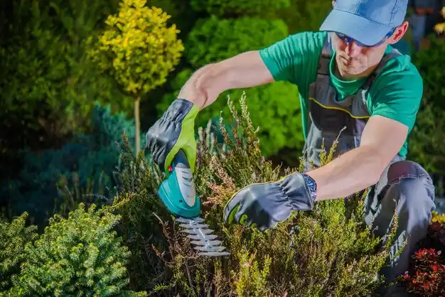 landscaping services Berlin Heights